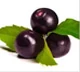 Bacche di Acai, ingrediente chiave di Silvets per il metabolismo.