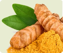 Curcumin C3 Complex®: curcuma per la gestione dei lipidi in Lipid Control Plus