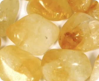 Capsule NuviaLab Keto con Citrin, controllo appetito