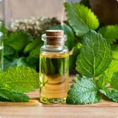 Estratto di Melissa in Cardiotens Plus: supporto per il colesterolo