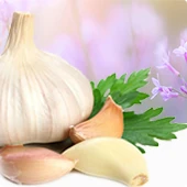 Vitamina B6: elemento essenziale in Cardiotens Plus per la salute vascolare