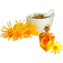 Confezione di estratto di Arnica Montana, ingrediente chiave di Hondro Sol per il sollievo dal dolore
